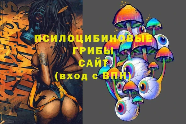 хмурый Сатка
